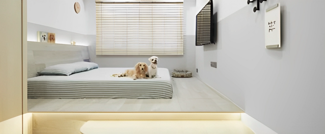 The Evolution of Modern Bedroom Design: Platform Beds - Forward Furniture