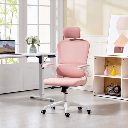 Ergonomic Mesh Office Chair with Lumbar Support