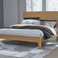 Sherbana - Panel Bed