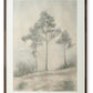 Fenngrove - Wall Art - Brown / Beige