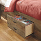 Trinell - Bookcase Bed With Storage