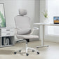 Ergonomic Mesh Office Chair with Lumbar Support - Grey
