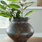 Laddlow - Vase - Antique Brown