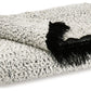 Leonita - Throw (Set of 3) - Black / White