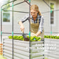 Greenhouse with Raised Garden Bed, Galvanized Metal Planter Box with PE Cover, Roll Up Door, 56" x 56" x 75", Green