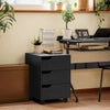 3 Drawer File Cabinet, Vertical Filing Cabinet with Wheels, Mobile Printer Stand with Storage for Home Office, Black