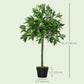 3FT Artificial Laurel Tree Set of 2, Lifelike Fake Plant with 564 Leaves, Potted Fake Plant for Home Office Decor, Green