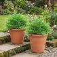 Artificial Boston Ferns UV-Resistant Fake Plants for Indoor Outdoor Decor Set of 2
