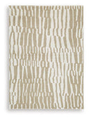5' x 7'
