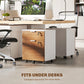 2 Drawer Small Filing Cabinet Lockable Office Storage Cabinet with Hanging Bars for A4 Legal Letter White Nature Wood