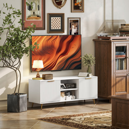 TV Stand with Storage for 55" TV