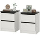 Nightstands Set of 2 with 2 Drawers - White