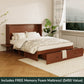 Olivia Queen Murphy Cabinet Bed With Mattress