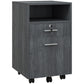 Small Filing Cabinet with 2 Drawers, Lockable Home Office Storage Cabinets on Wheels for A4, Letter Size, Grey