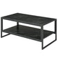2-Tier Coffee Table with Storage Shelf - Black