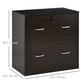 2 Drawer File Cabinet with Lock, Office Filing Cabinet, Hanging Bar for Letter Size, Home Office, Espresso