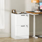 2-Drawer Filing Cabinet with Lock - White