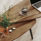 2 Pieces Coffee Table Set for Living Room, Industrial Nest of Tables with Steel Legs, Brown
