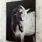 Archerwick - Black / White - Wall Art