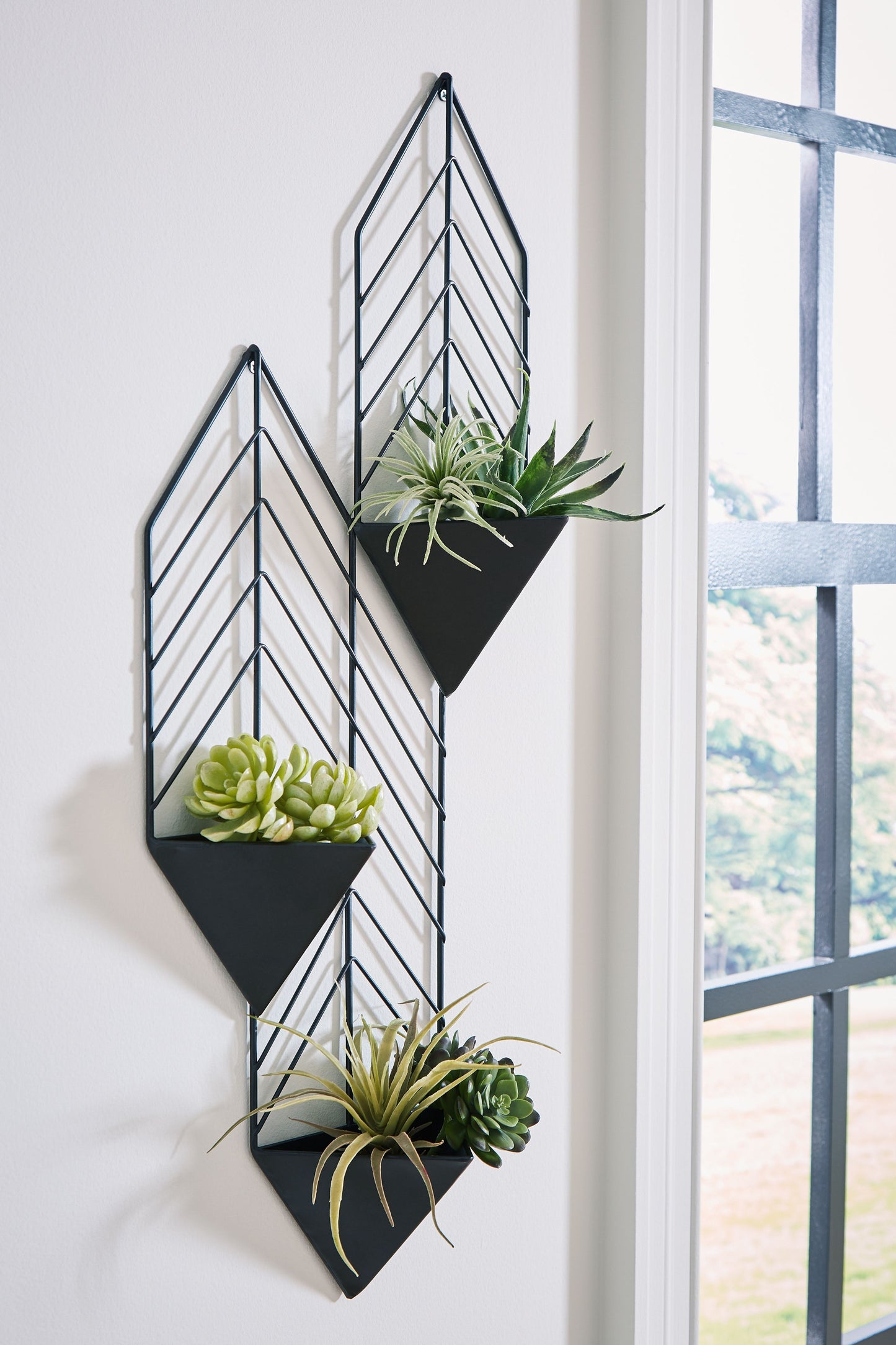 Dashney - Black - Wall Planter