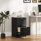 2-Drawer Lockable Filing Cabinet - Black