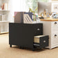 2-Drawer Small Filing Cabinet Lockable Home Office Storage Cabinet with Adjustable Hanging Bars for A4 Letter Black