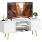 TV Stand Cabinet for TVs up to 55 Inches, Entertainment Unit with Storage Shelves and Wood Legs for Living Room, White