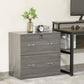 2 Drawer File Cabinet with Lock, Office Filing Cabinet, Hanging Bar for Letter Size, Home Office, Grey