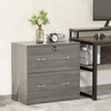 2 Drawer File Cabinet with Lock, Office Filing Cabinet, Hanging Bar for Letter Size, Home Office, Grey