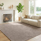 5x7 Area Rug, Luxurious Faux Fur Rug, Non-Slip Floor Carpet for Living Room, Bedroom, Dining Room, Tan
