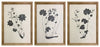 Huddwick - Wall Art Set (Set of 3) - Linen / Black
