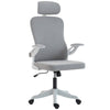 Ergonomic Office Chair with Adjustable Lumbar and Headrest - Grey