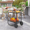 Outdoor Grill Cart with Storage, 2-Tier Bar Cart on Wheels with Side Handle, Steel Frame for Indoor Outdoor, Black