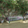 12 Pockets Raised Garden Bed with Greenhouse and Roll Up Windows for Vegetables, Flowers, 4' x 3' x 2', Natural Wood