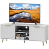 TV Stand with Storage for 55