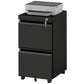 Mobile Vertical Filing Cabinet with Lock, 2-Drawer Steel File Cabinet with Adjustable Hanging Bar for Letter, A4 and Legal Size, Black