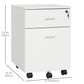 2 Drawer File Cabinet with Lock and Keys, Mobile Vertical Filing Cabinet with Wheels and Drawers, Home Office Cabinet, White