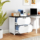 2-Drawer Farmhouse Filing Cabinet - White