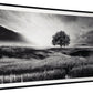 Deborland - Black / White - Wall Art