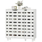 Shoe Cabinet, 20 Pair Shoe Storage Cabinet with Hollowed-Out Doors, White