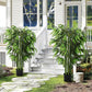 4.6FT Artificial Bamboo Tree Set of 2, Decorative Faux Plant in Nursery Pot, Faux Tree for Home Indoor Decor