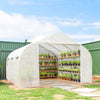 15'x10'x7' Greenhouse Gardening Planting Shed White