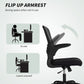 Ergonomic Mesh Office Chair with 4D Lumbar Support, Swivel Desk Chair with Flip-up Armrests, Tilt Function, Black