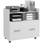 Mobile Filing Cabinet, Rolling File Cabinet with Drawer and Adjustable Hanging Bar for Letter, A4 and Legal Size, White