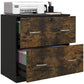 2 Drawer File Cabinet with Lock, Office Filing Cabinet, Hanging Bar for Letter Size, Home Office, Rustic Brown