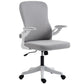 Ergonomic Office Chair with Adjustable Lumbar Support - Grey