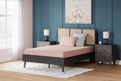 Ikidz Coral - Mattress And Pillow Set of 2 - Forward Furniture
