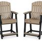 Fairen Trail - Barstool (Set of 2) - Black / Driftwood