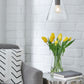 Collbrook - Glass Pendant Light