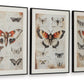 Jossletts - Orange / Black / Ivory - Wall Art Set (Set of 3) - Forward Furniture